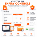 Custom File Expiry Controls