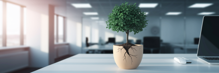 Office plant in a pot that expands as it grows.